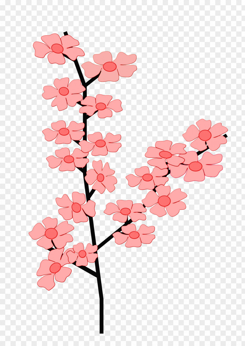 Wildflower Pedicel Cherry Blossom Tree Drawing PNG