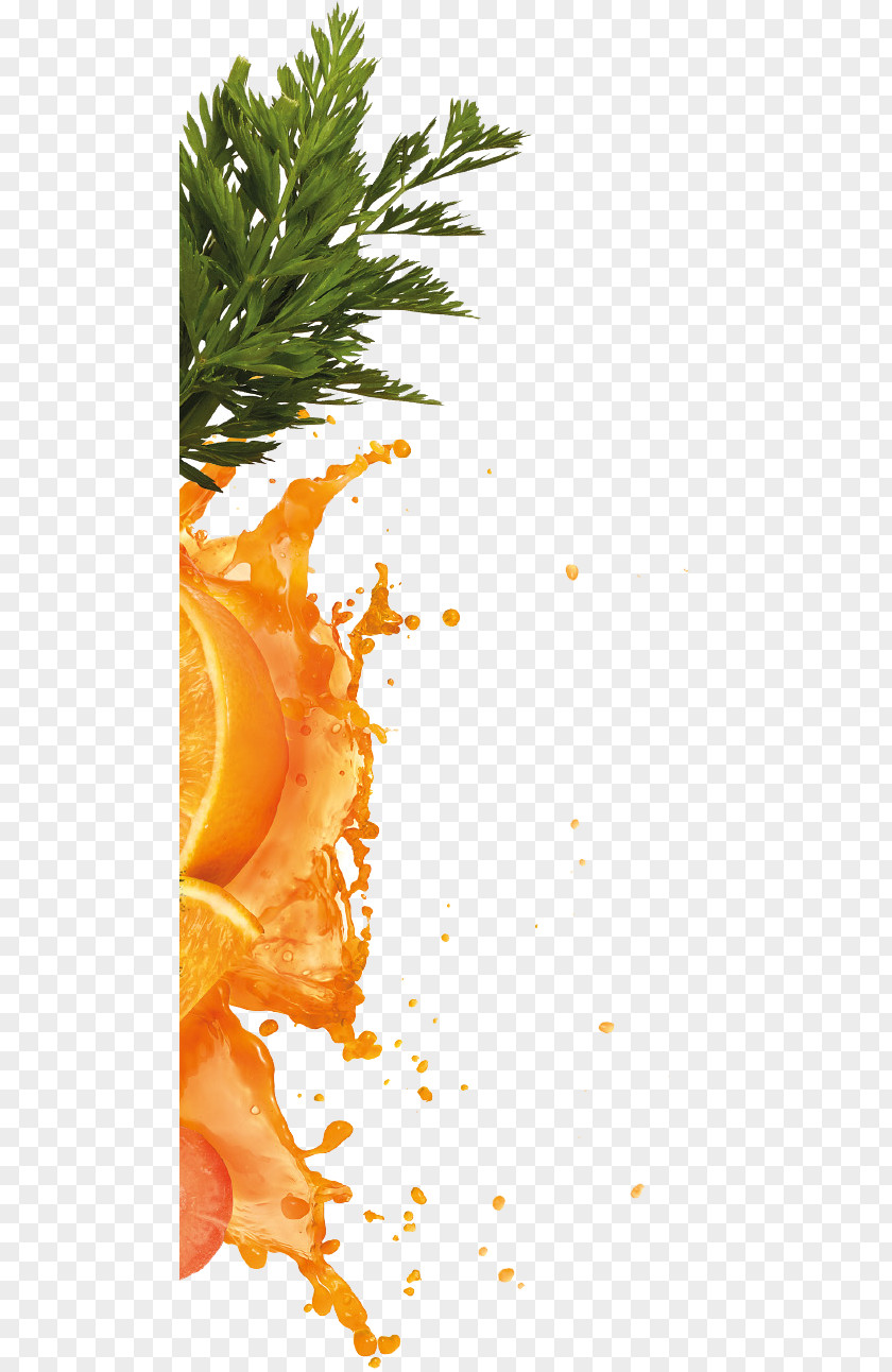 Carrot Juice Orange PNG