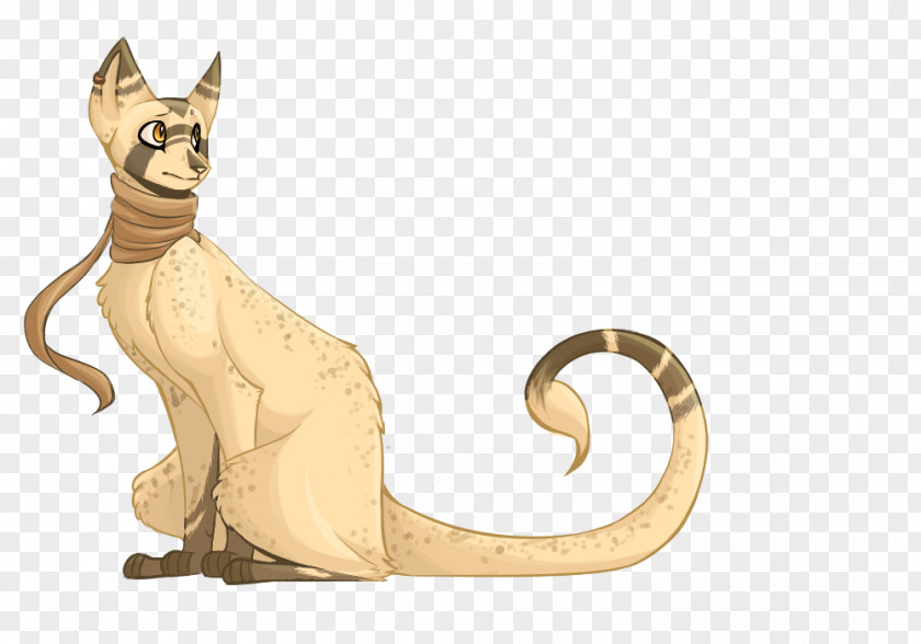 Cat Whiskers Dog Canidae Claw PNG