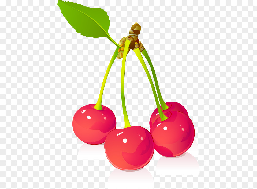 Cherry Juice Fruit Euclidean Vector PNG