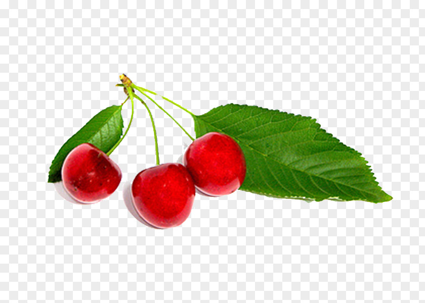 Delicious Cherry Picture Material Blossom Liquorice Auglis Sweet PNG