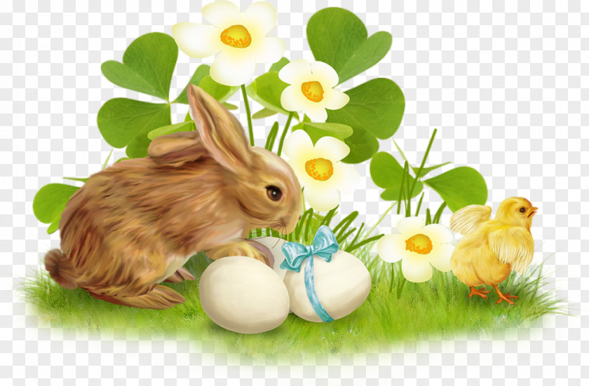 Easter Bunny Domestic Rabbit Egg PNG