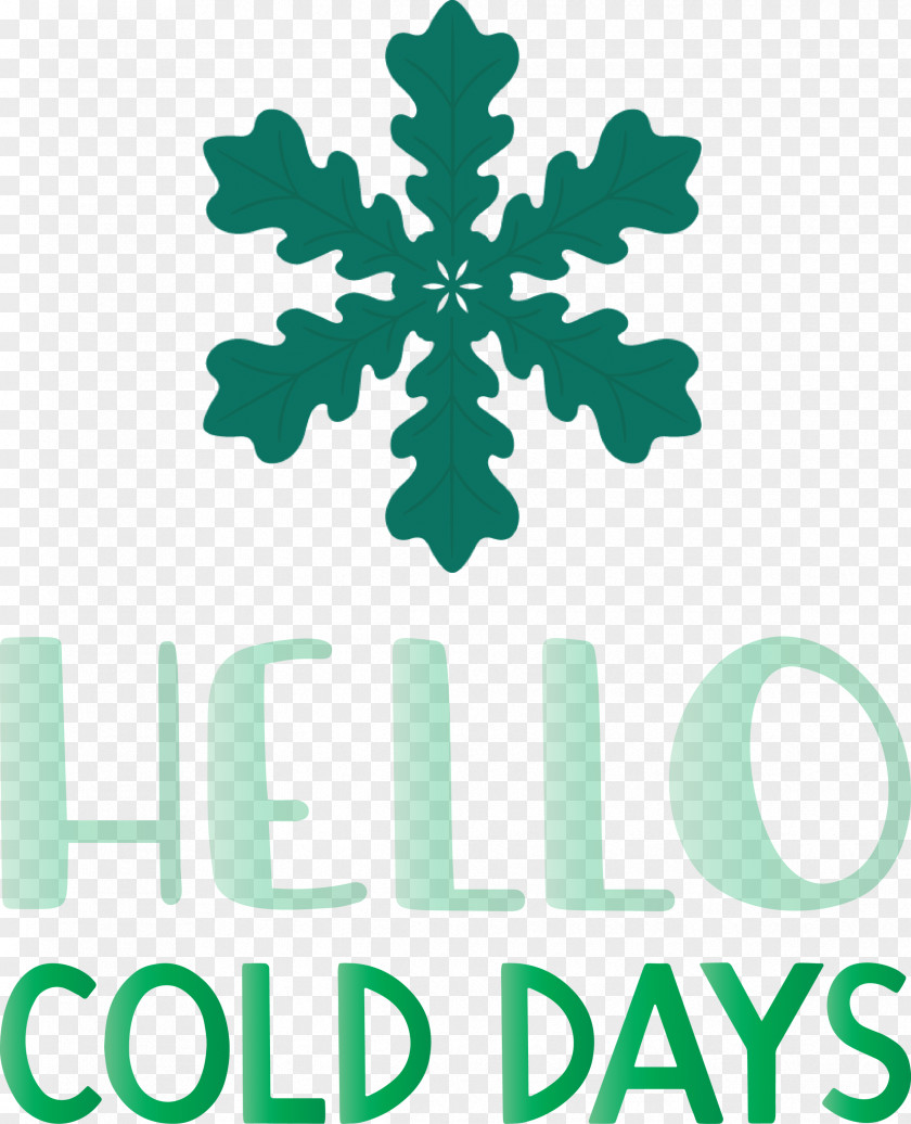 Hello Cold Days Winter Snow PNG