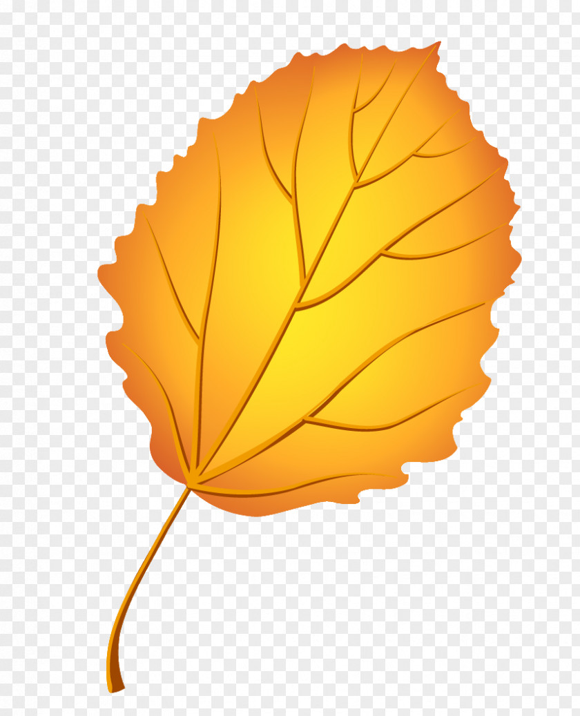 Leaf Image Autumn Leaves Psd PNG