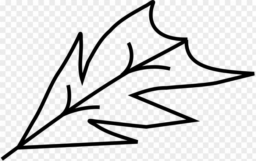 Leaf Line Art Drawing Coloring Book PNG