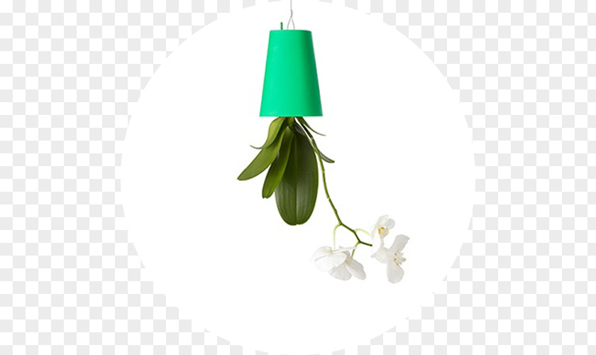 Polygon City Flyer Flowerpot Plant Green Cachepot Ceramic PNG