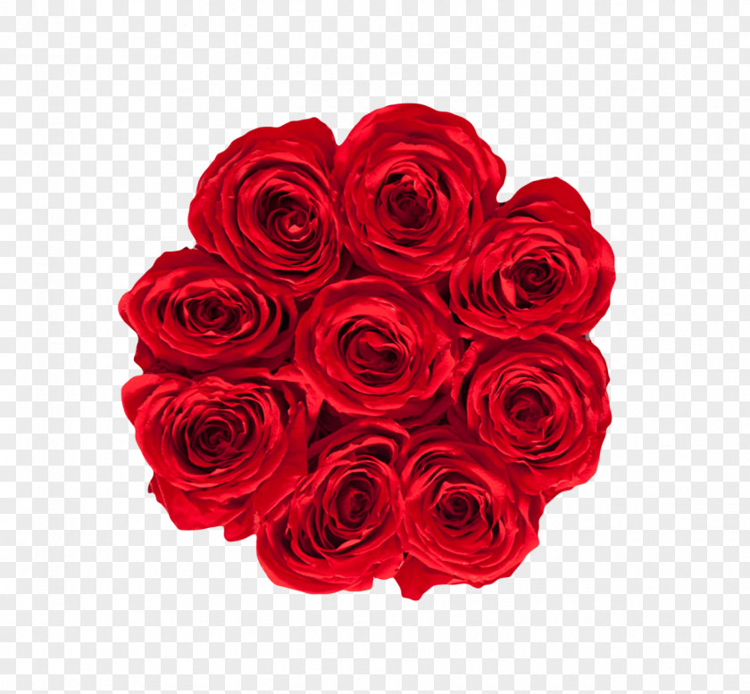 Royal Red Garden Roses RE/MAX Karun Gayrimenkul Danışmanlığı INTEGRA Ontario-Atlantic Inc. RE/MAX, LLC Real Estate PNG