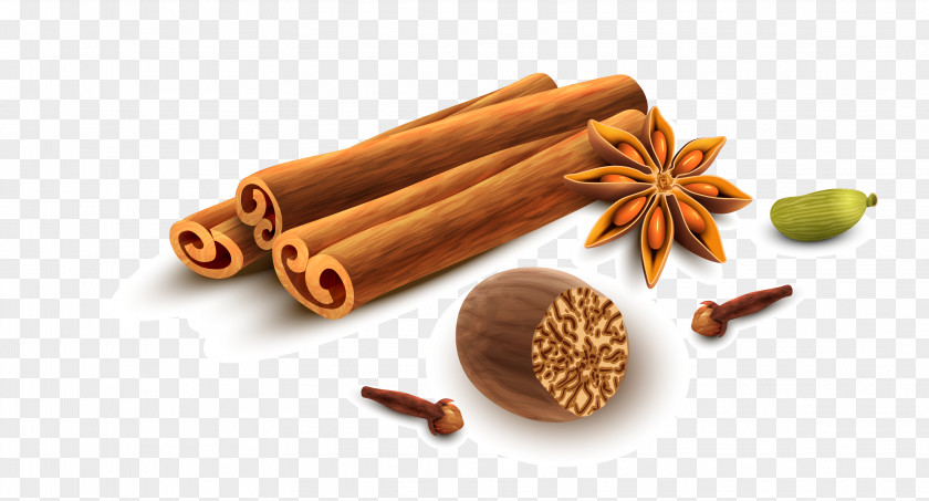 Vector Hand-painted Pepper Aniseed Spice Indian Cuisine Star Anise Cinnamon PNG