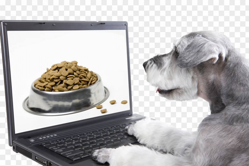 Dogs Online Shopping Dog Food PNG online shopping dog food clipart PNG