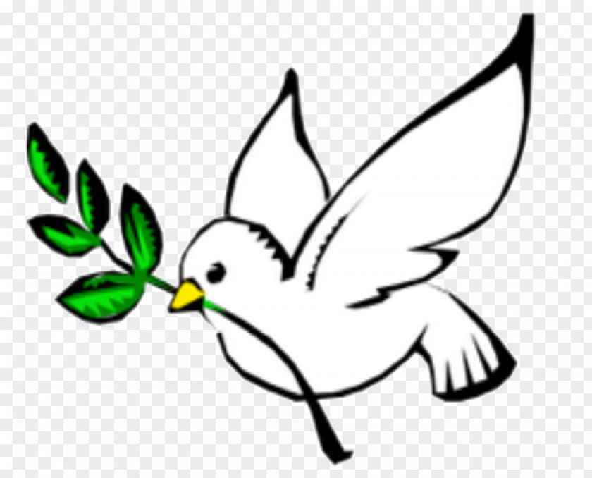 Erdogan Columbidae Doves As Symbols Peace Olive Branch Clip Art PNG