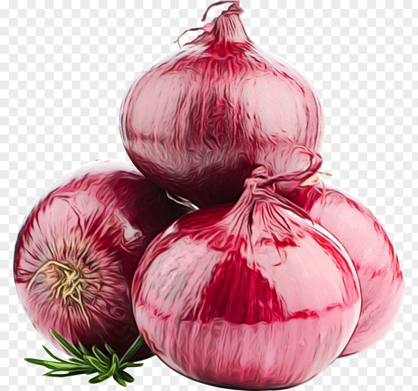 Magenta Amaryllis Family Onion Vegetable Red Plant Allium PNG