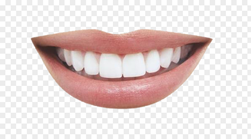 Smiling Mouth PNG mouth clipart PNG
