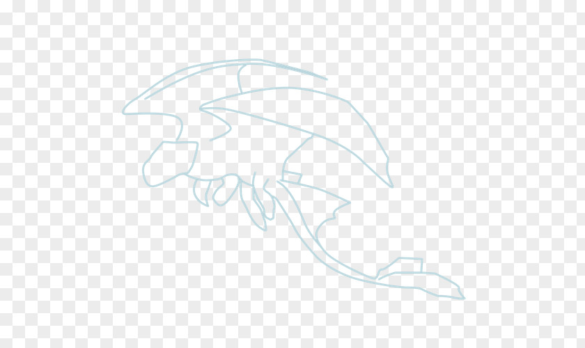 Toothless Drawing Marine Mammal Sketch PNG