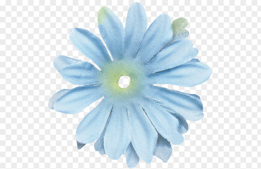 Transvaal Daisy Petal PNG