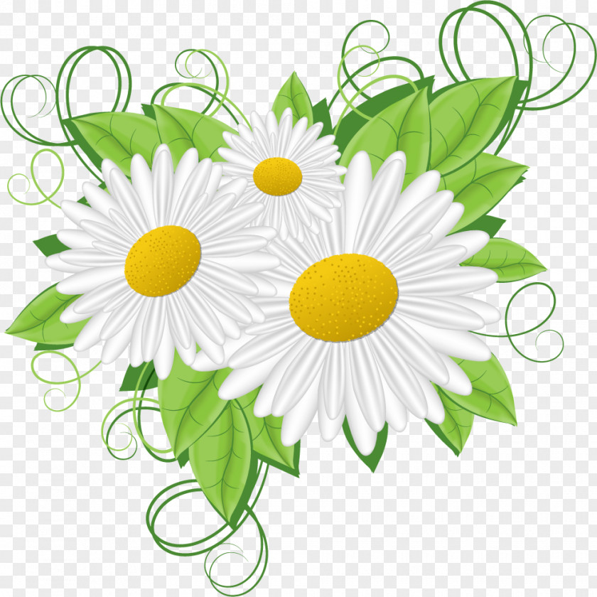 Camomile Flower Picture Frames Clip Art PNG