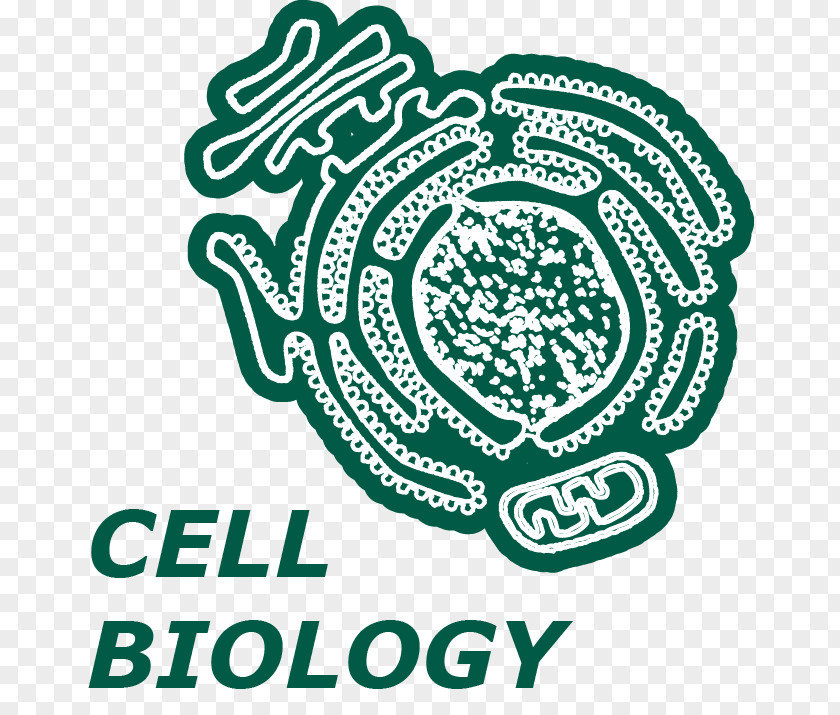 Cell Biology Logo Brand Organism Font PNG
