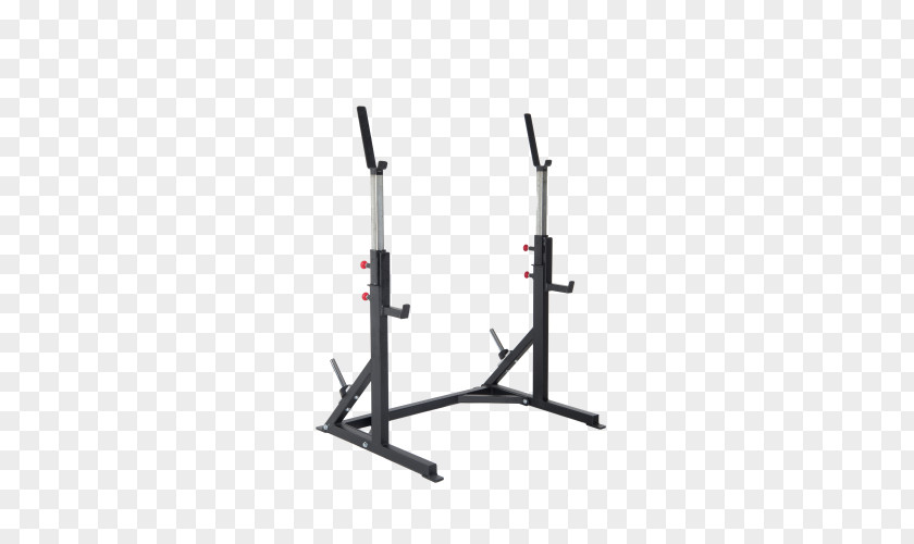 Dumbbell Promaxima Strength Training Weight System Machine PNG