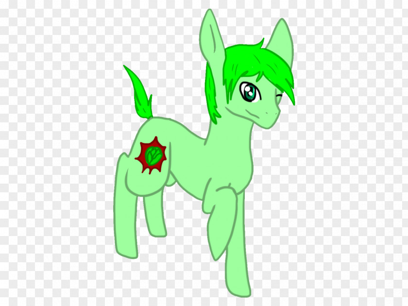 Green Cabbage Cat Pony Horse PNG