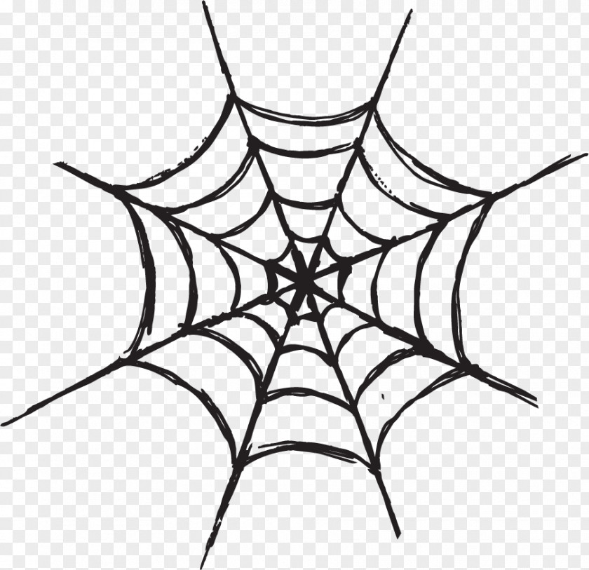 Haloween Party Cliparts Spider Web Icon PNG