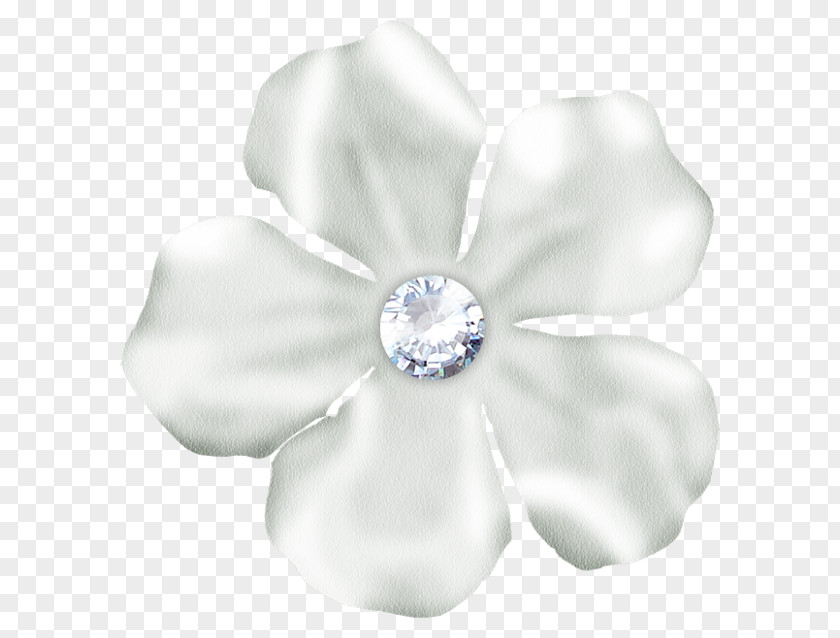 Jewellery Body Cut Flowers Father PNG
