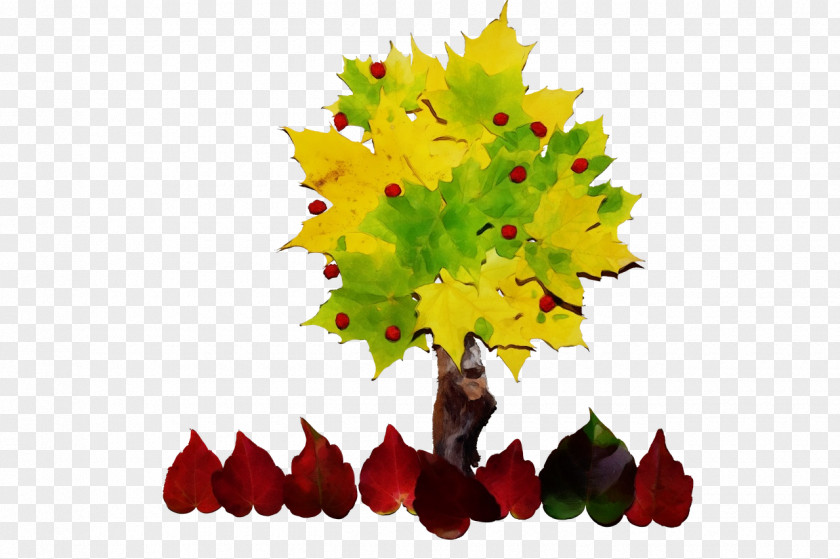 Planetree Family Sweet Gum Watercolor Flower Background PNG
