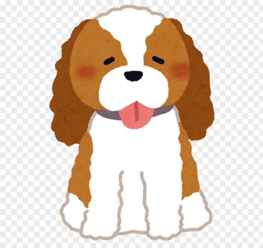 Puppy Cavalier King Charles Spaniel Dog Breed PNG