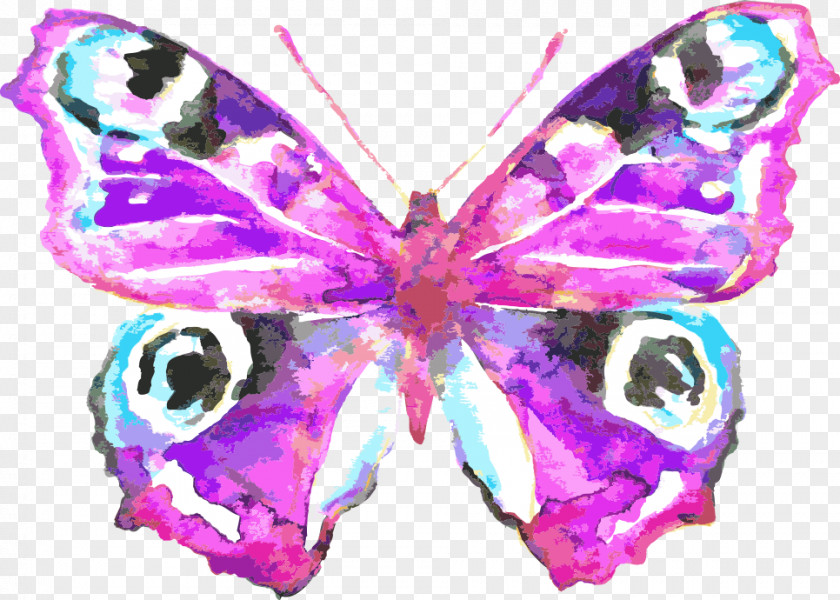 Vector Painted Butterfly Watercolor Painting Drawing Royalty-free Illustration PNG