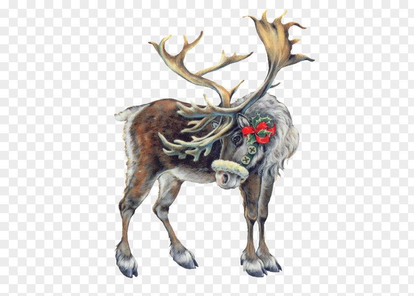 Deer Pxe8re Noxebl Lapland Reindeer Santa Claus Christmas PNG
