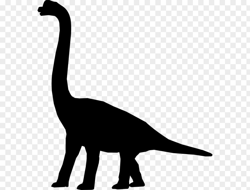Dinosaur Tyrannosaurus Stegosaurus Reptile Clip Art PNG