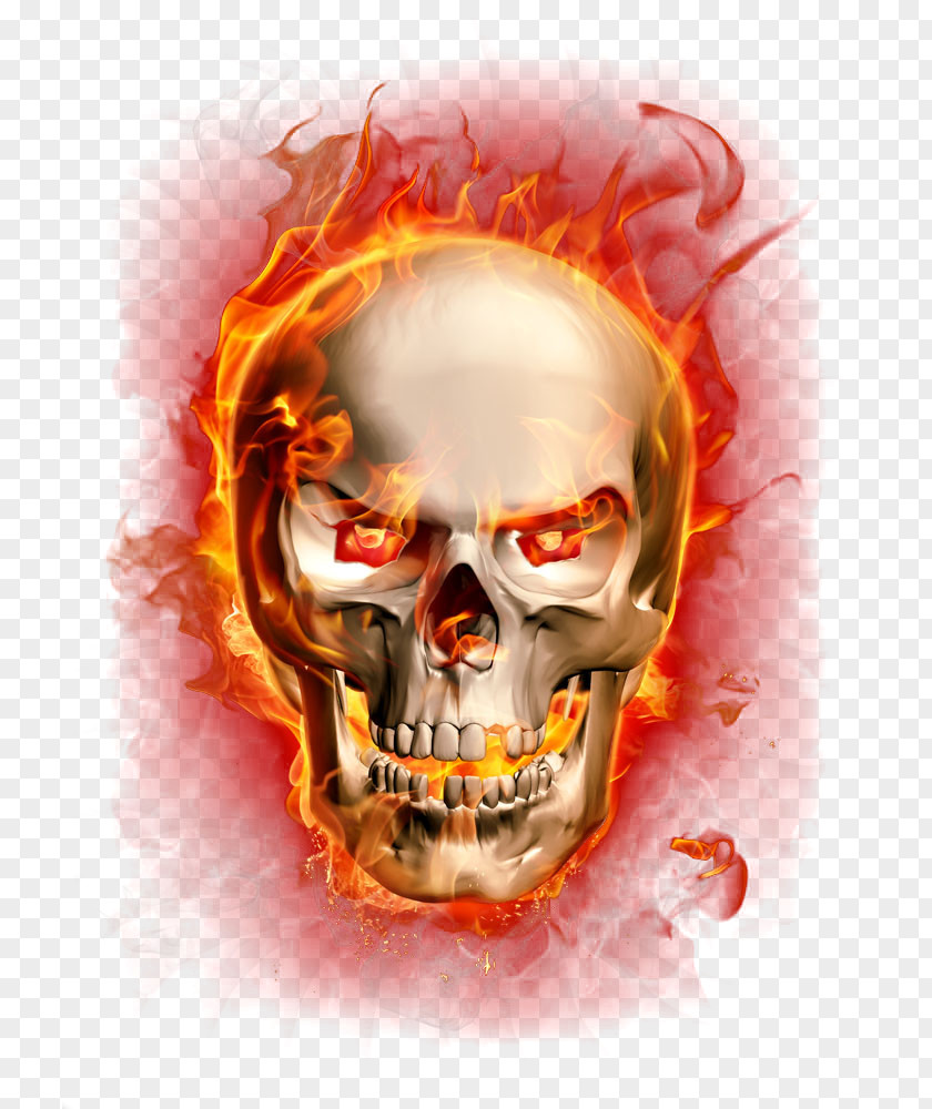 Flame Skull Fire Combustion PNG