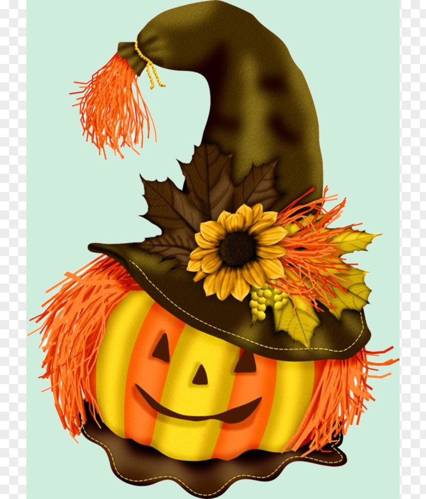Flower Autumn Halloween Witch Hat PNG