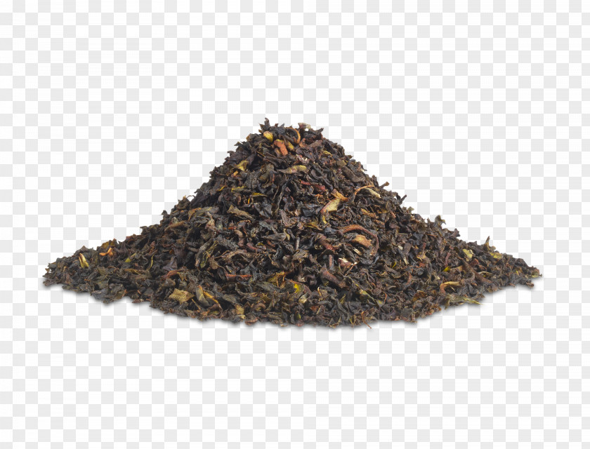 Tea Earl Grey Lapsang Souchong Keemun Darjeeling PNG