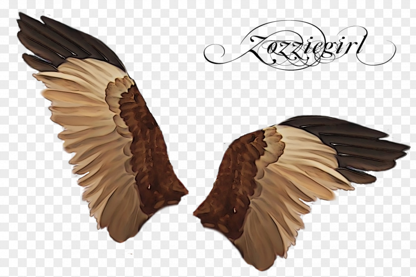 Wings Mirror Light Parede PNG