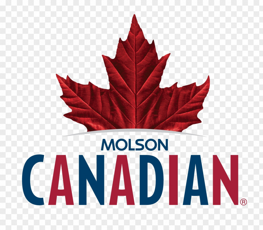 Beer Molson Brewery Lager Coors Brewing Company PNG