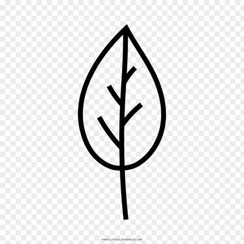 Leaf Tree Drawing Coloring Book PNG