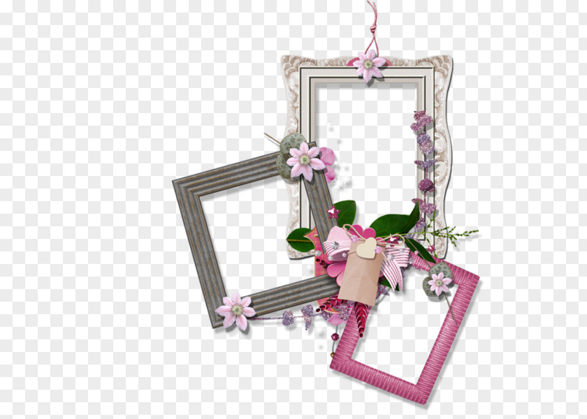 Multiple Frames Google Images Picture Photography PNG