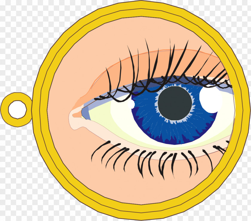 Vector Hand-painted Eyes Iris Eye Euclidean PNG