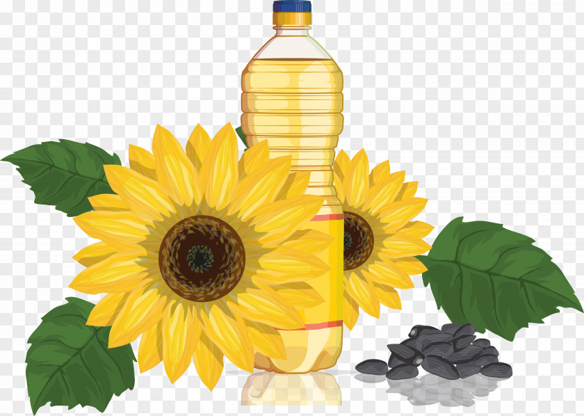 Vector Sunflower Oil Common Seed PNG