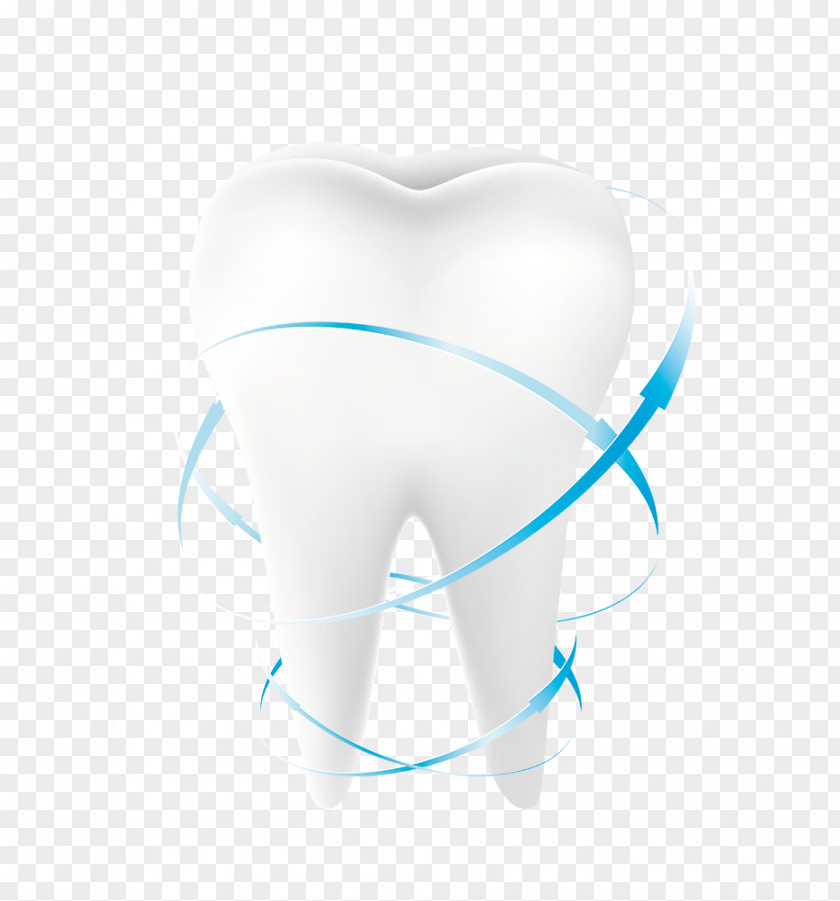 White Teeth Human Tooth Icon PNG