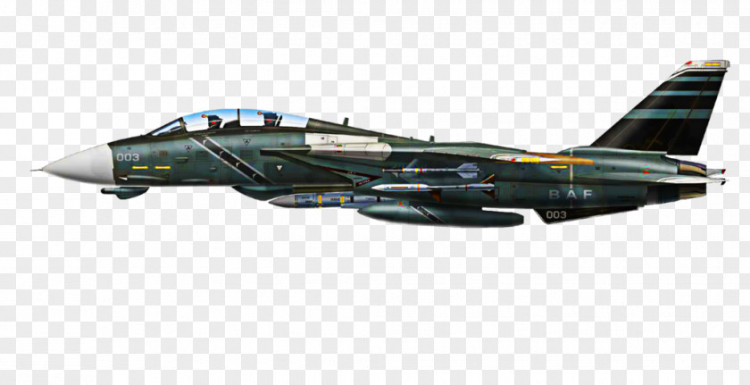 Airplane Grumman F-14 Tomcat Air Combat Military Aircraft PNG