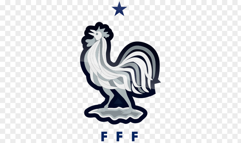 France UEFA Euro 2016 2018 FIFA World Cup National Football Team Ligue 1 PNG