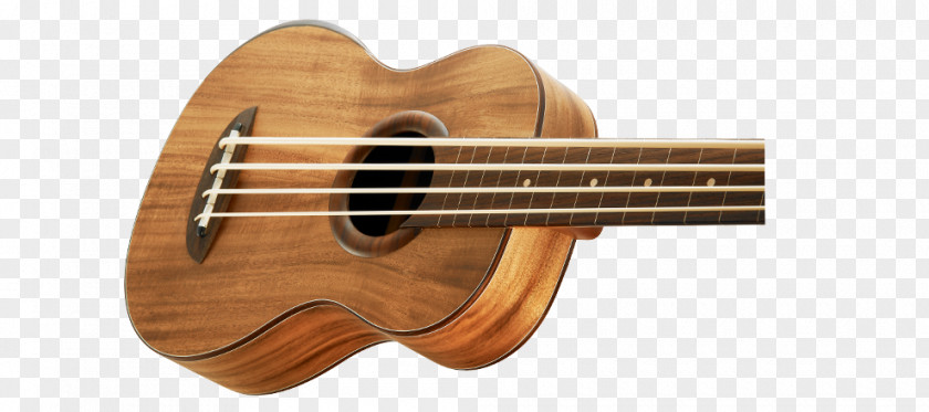 Fretless Bass Cuatro Ukulele Guitar Cavaquinho Tiple PNG