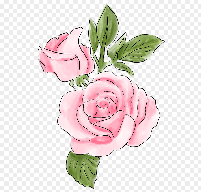 Garden Roses PNG