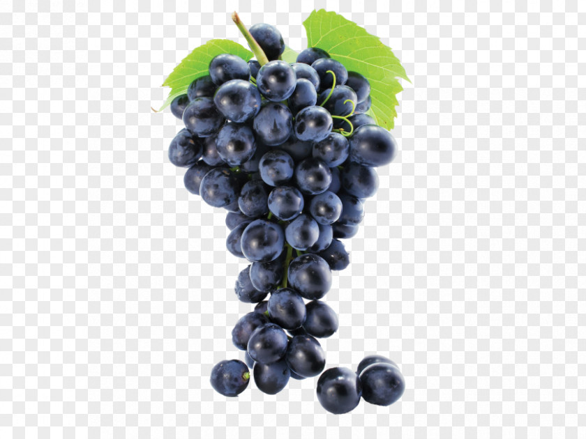 Juice Common Grape Vine Must Sultana PNG