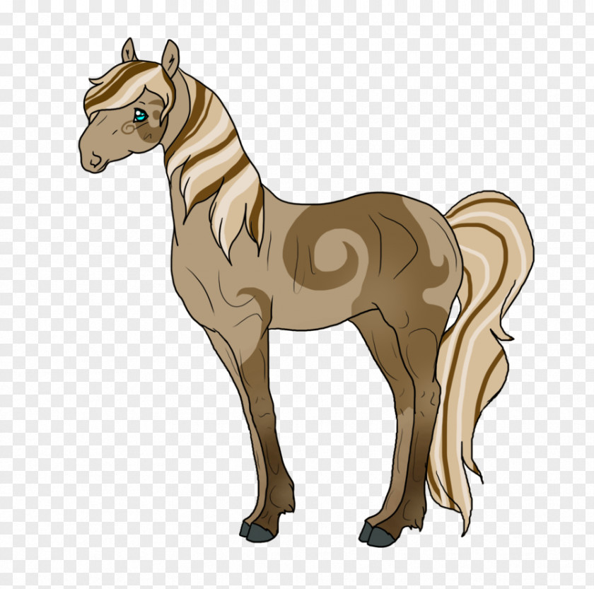 Milky Way Mustang Foal Colt Stallion Pony PNG