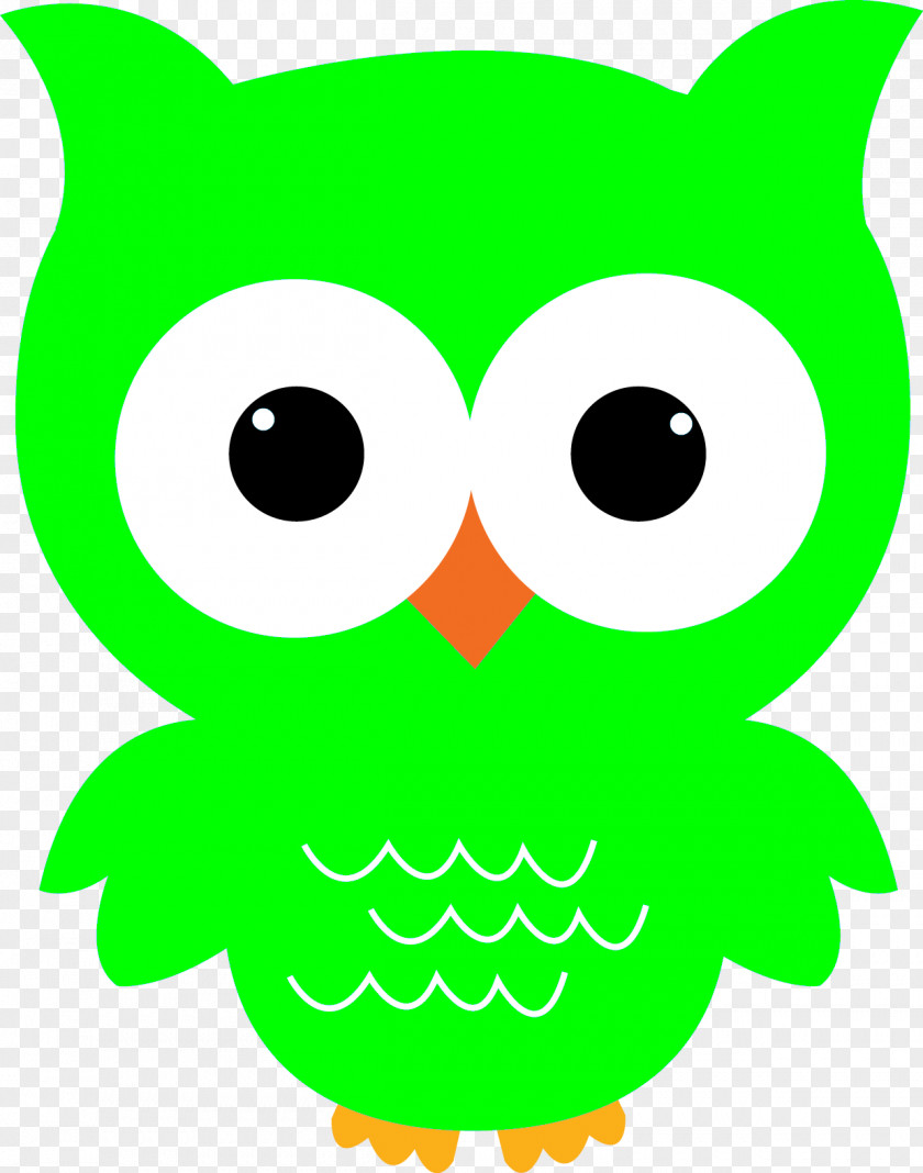 Owl Baby Owls Clip Art PNG