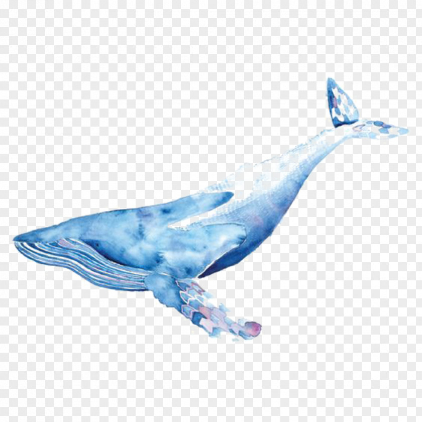 Painting Transparent Watercolor Drawing Whales Blue Whale PNG