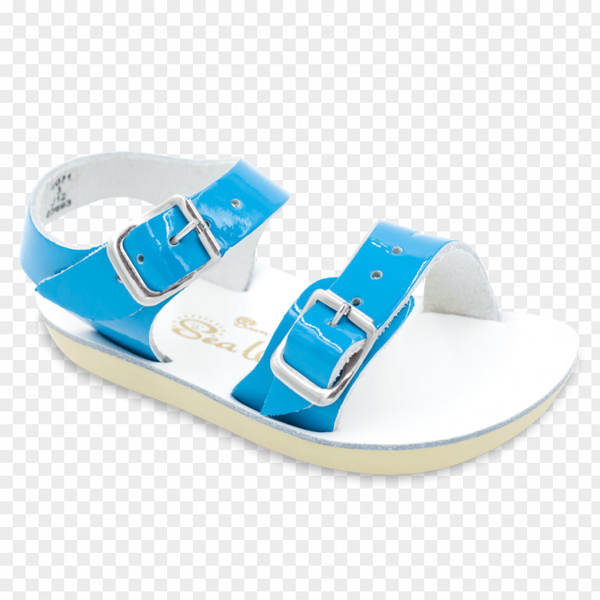 Sun Sea Saltwater Sandals Flip-flops Shoe Clothing PNG