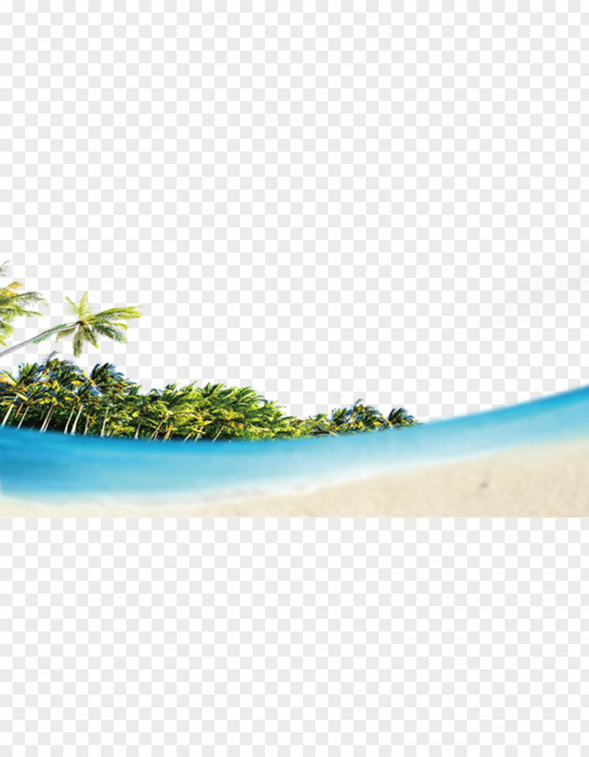 Beach Style Water Shoe Pattern PNG