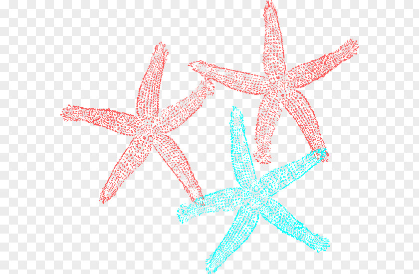 Coral Starfish Clip Art PNG